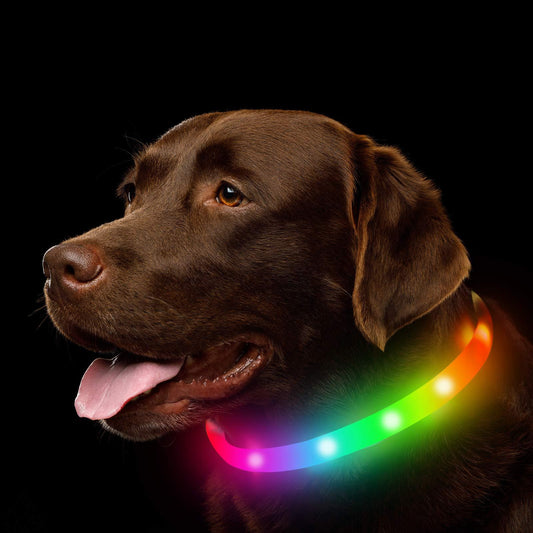 All-Season Luminous Silicone Dog Collar - Multi-Color