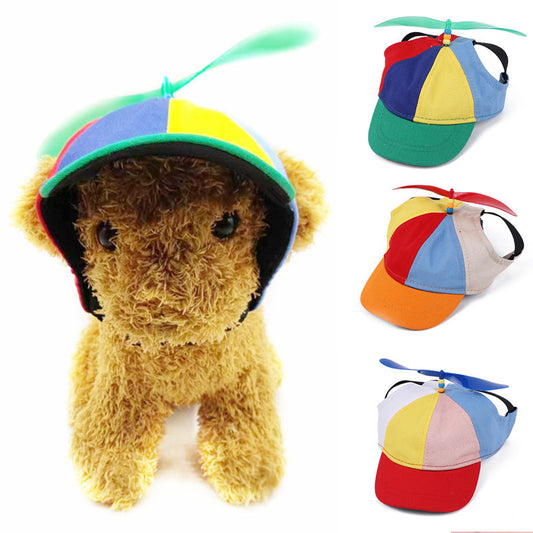 Adorable Dragonfly Baseball Cap for Dogs